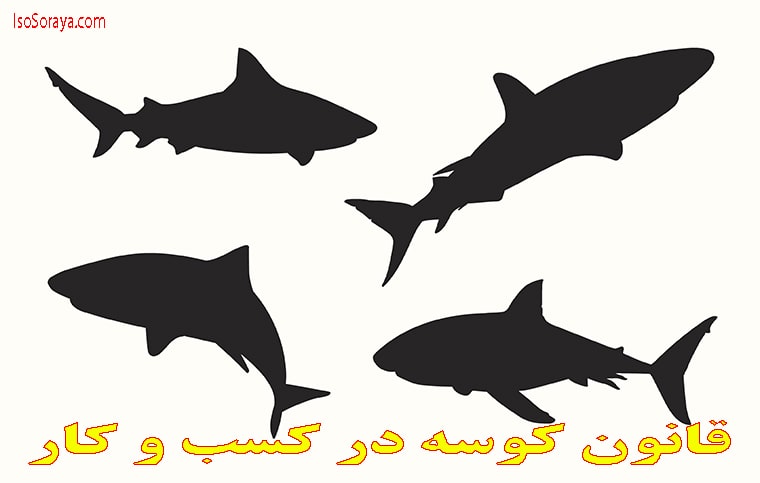 قانون کوسه در کسب و کار